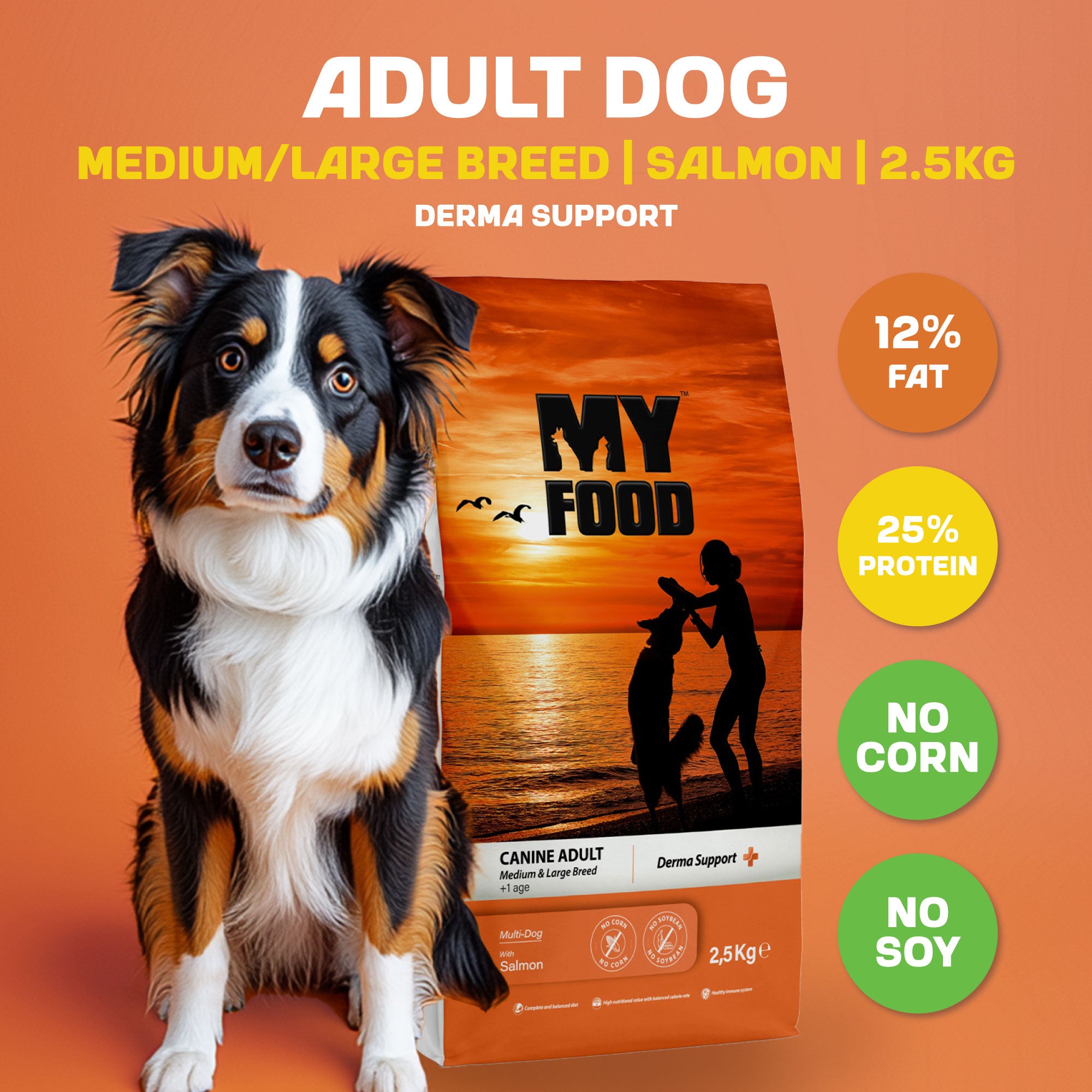 A white, brown and black dog sitting next to a bag of MyFood's dry dog food for medium to large breeds with derma support and salmon flavor, with infographics next to it detailing fat, protein and other compositions of the kibble.