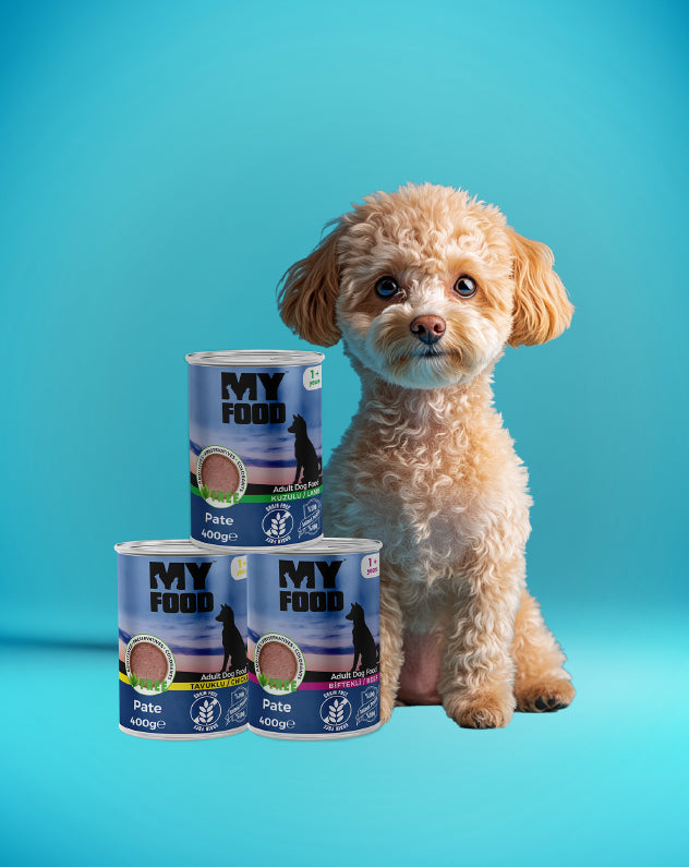 Wet Dog Food