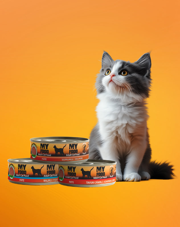Wet Cat Food