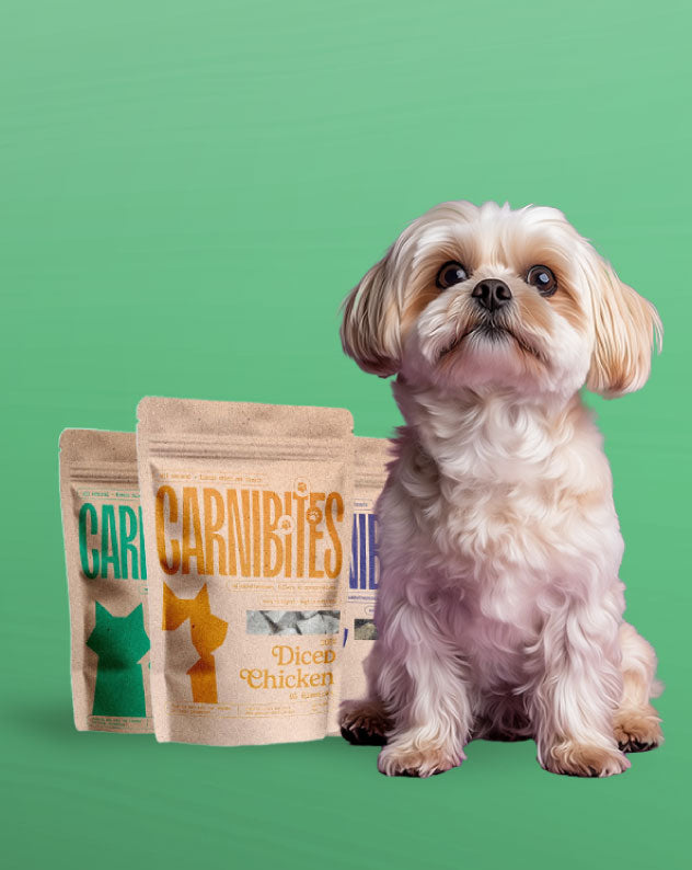 Pet Treats