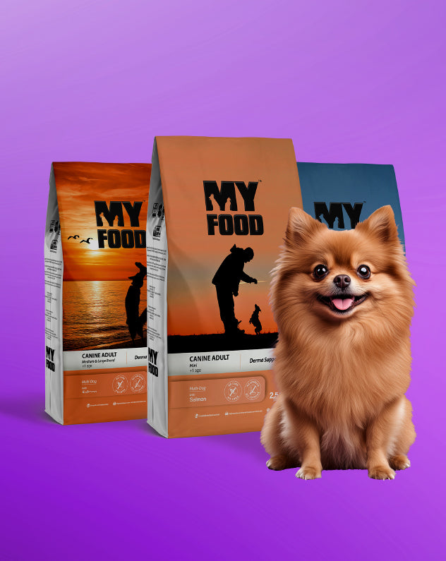 Dry Dog Food