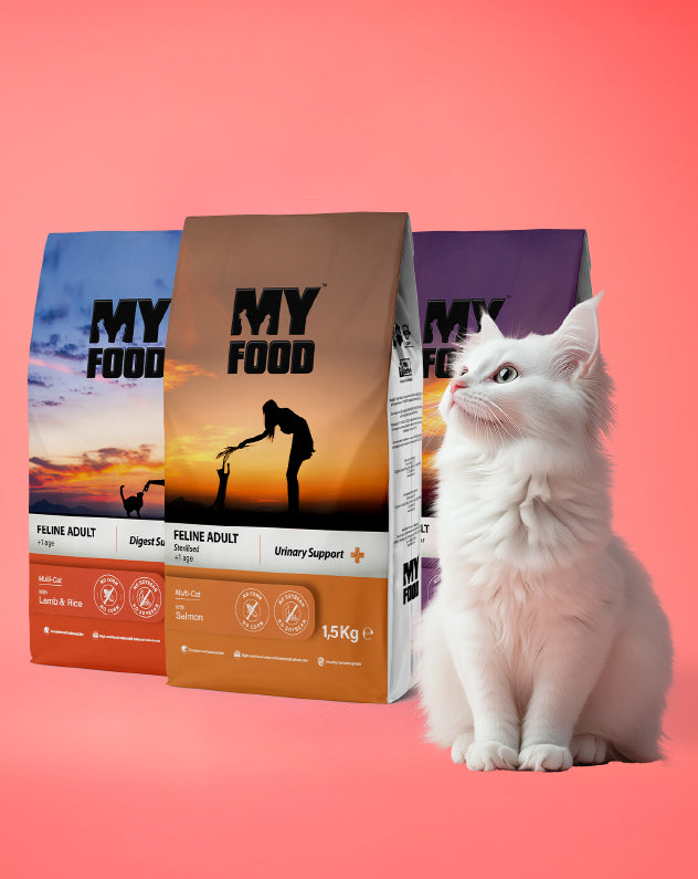 Dry Cat Food