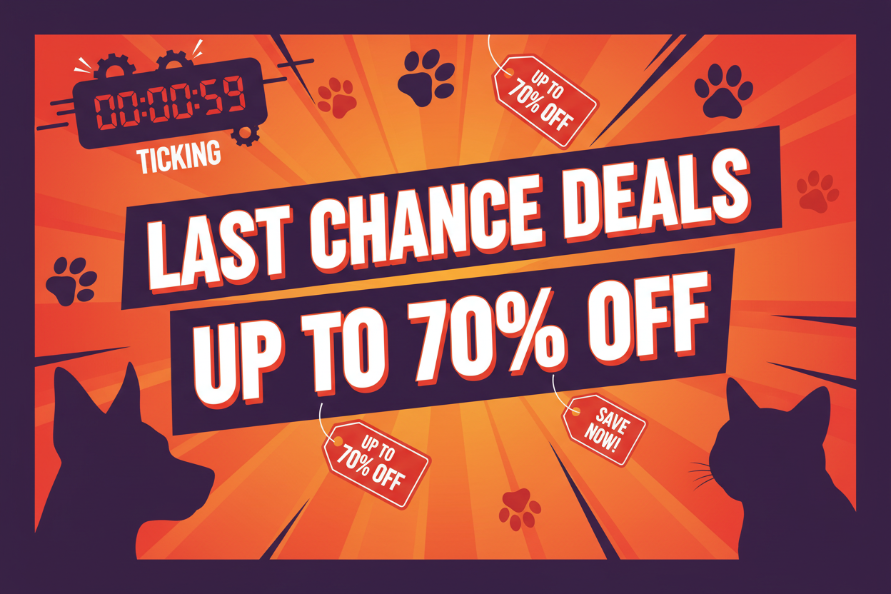 Last Chance Deals