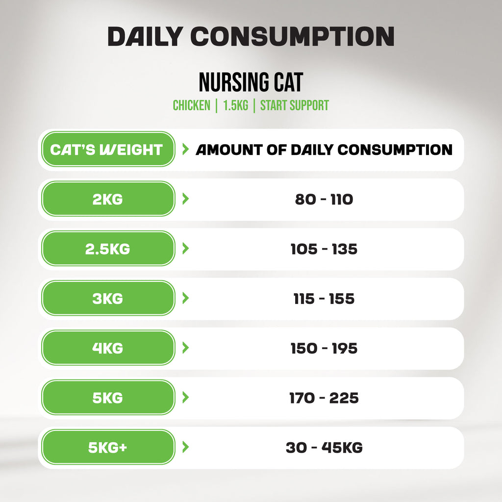 Kitten | Start Support | Chicken | 1,5kg