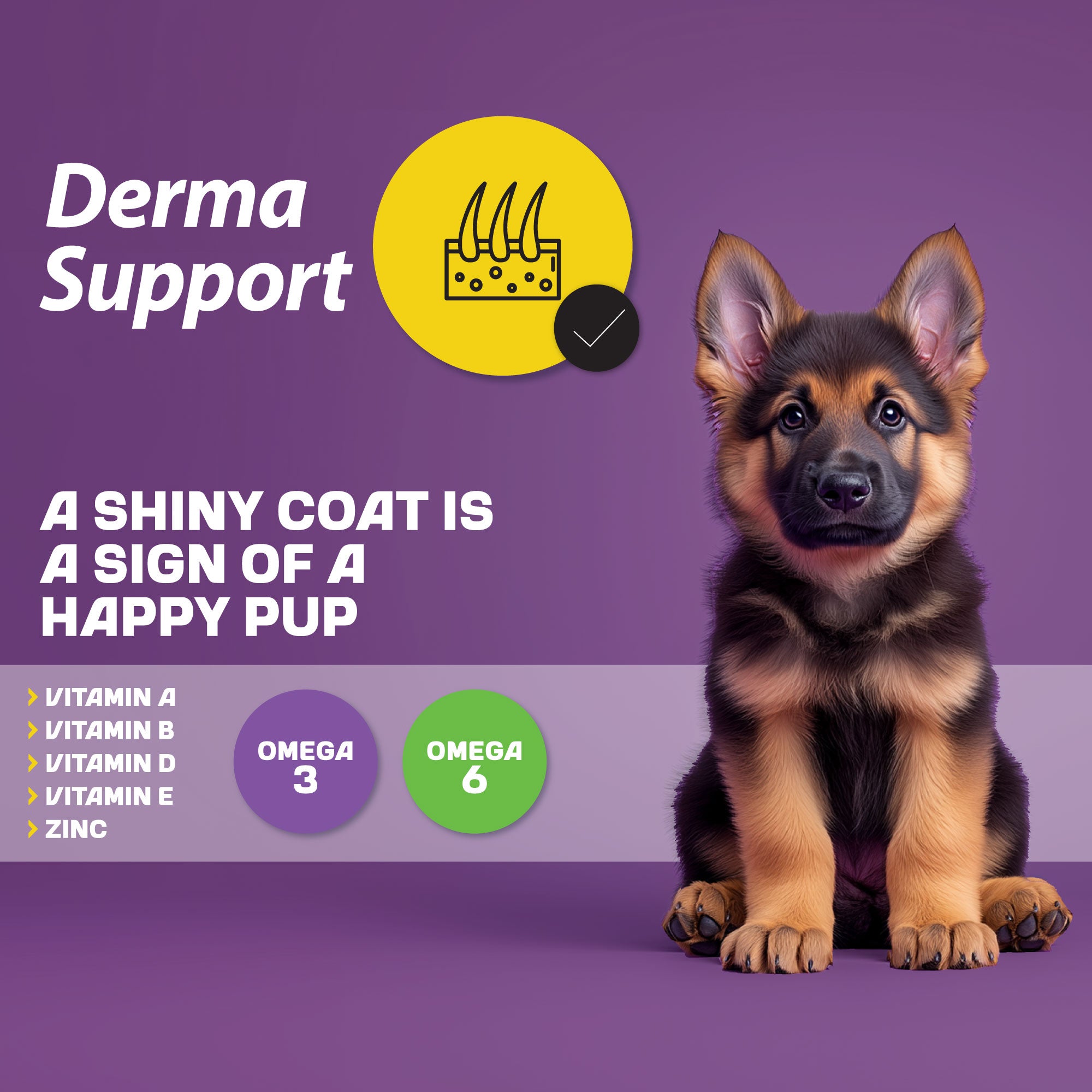 Puppy | Medium & Large Breed | Derma Support | Lamb and Rice | 12kg