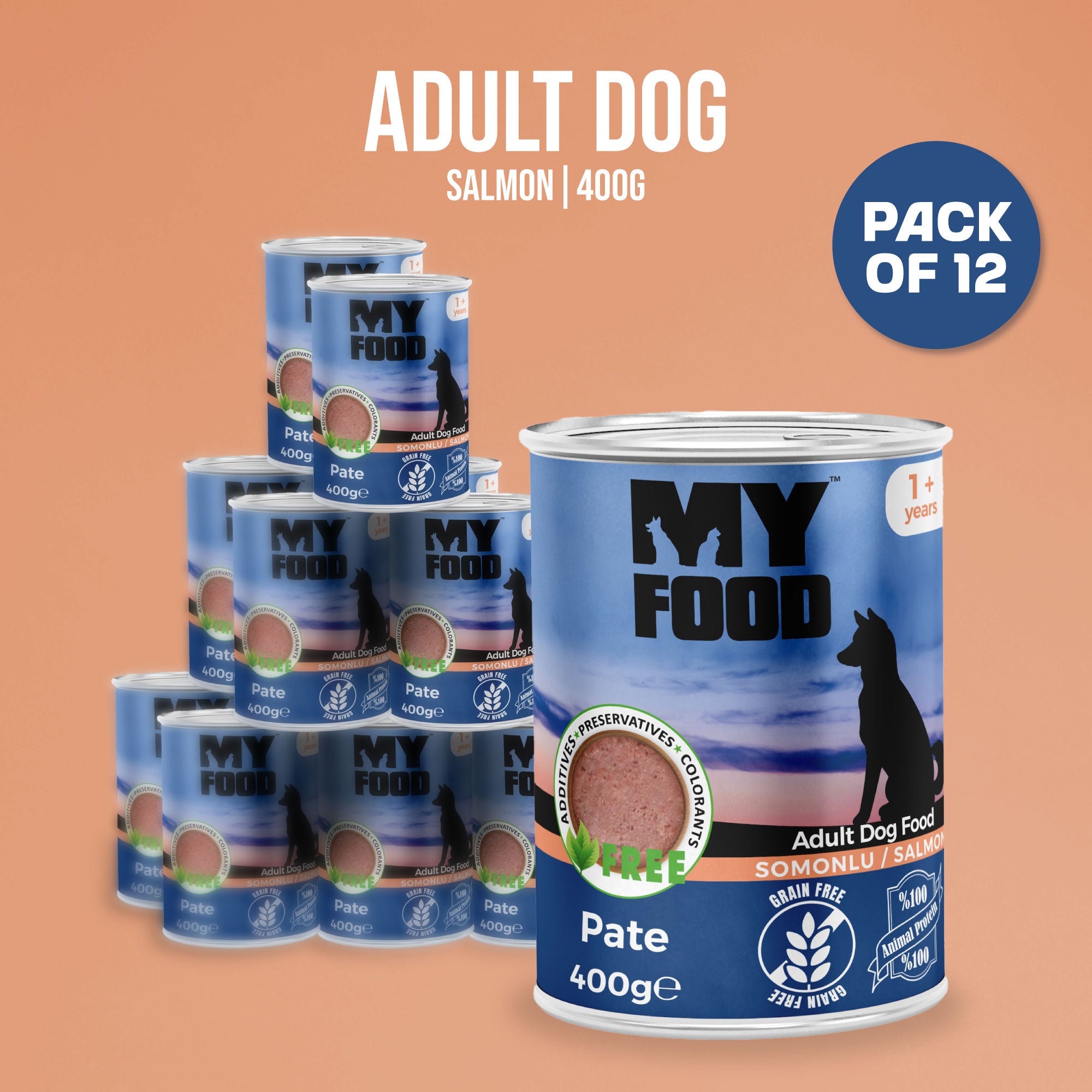 Adult Dog | Salmon | 400g