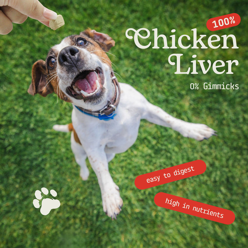Cat & Dog Treats | Freeze-Dried Chicken Liver | 50g
