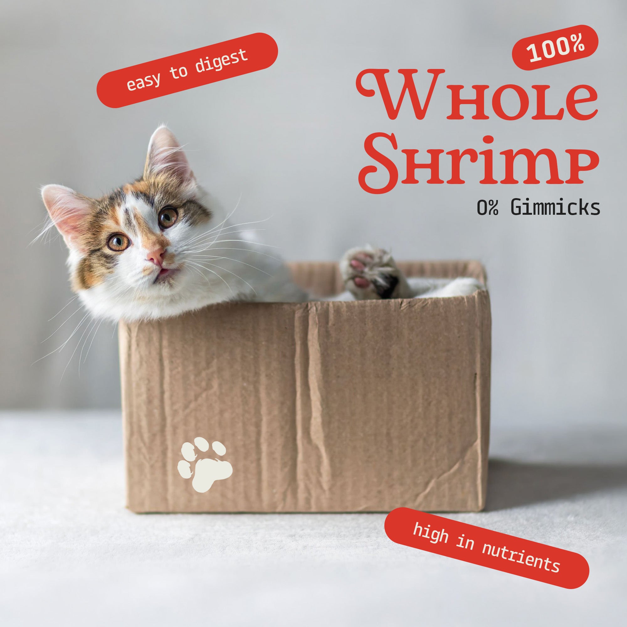 Cat Treats | Freeze-Dried Just Shrimp | 20g