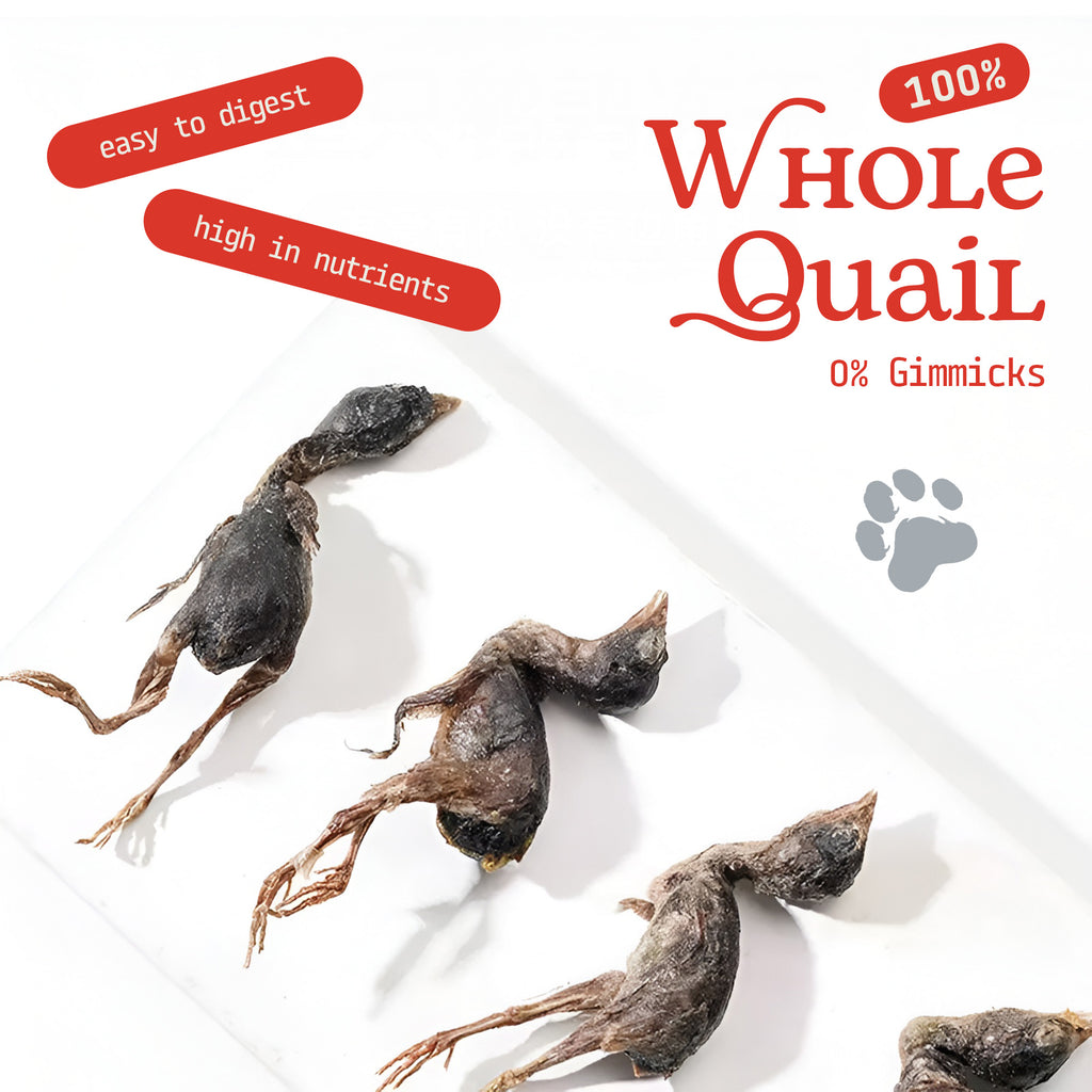 Cat & Dog Treats | Freeze-Dried Whole Quail | 100g