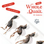 Cat & Dog Treats | Freeze-Dried Whole Quail | 100g