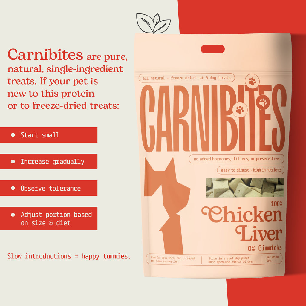 Cat & Dog Treats | Freeze-Dried Chicken Liver | 50g
