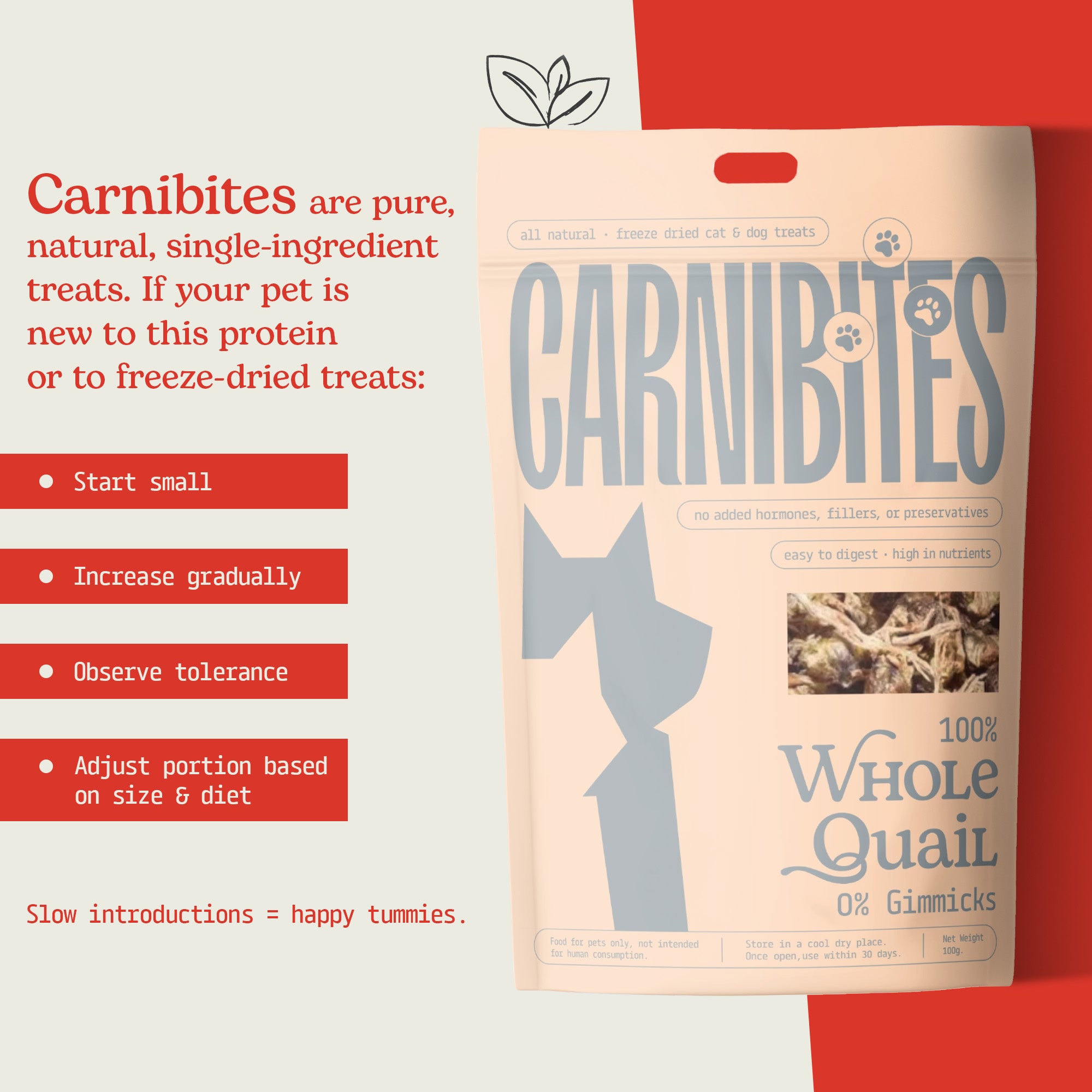 Cat & Dog Treats | Freeze-Dried Whole Quail | 100g