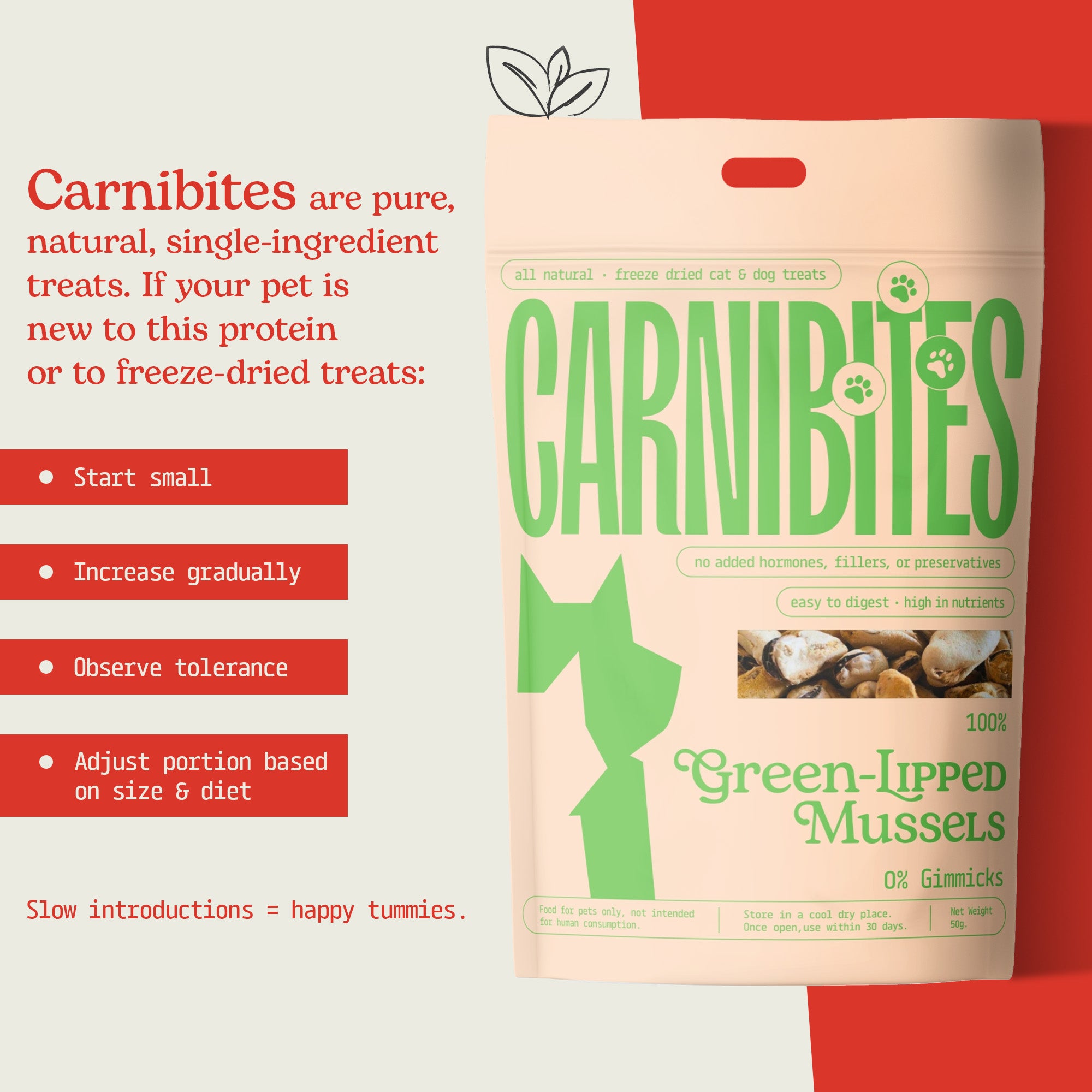 Cat & Dog Treats | Freeze-Dried Green Lipped Mussels | 50g