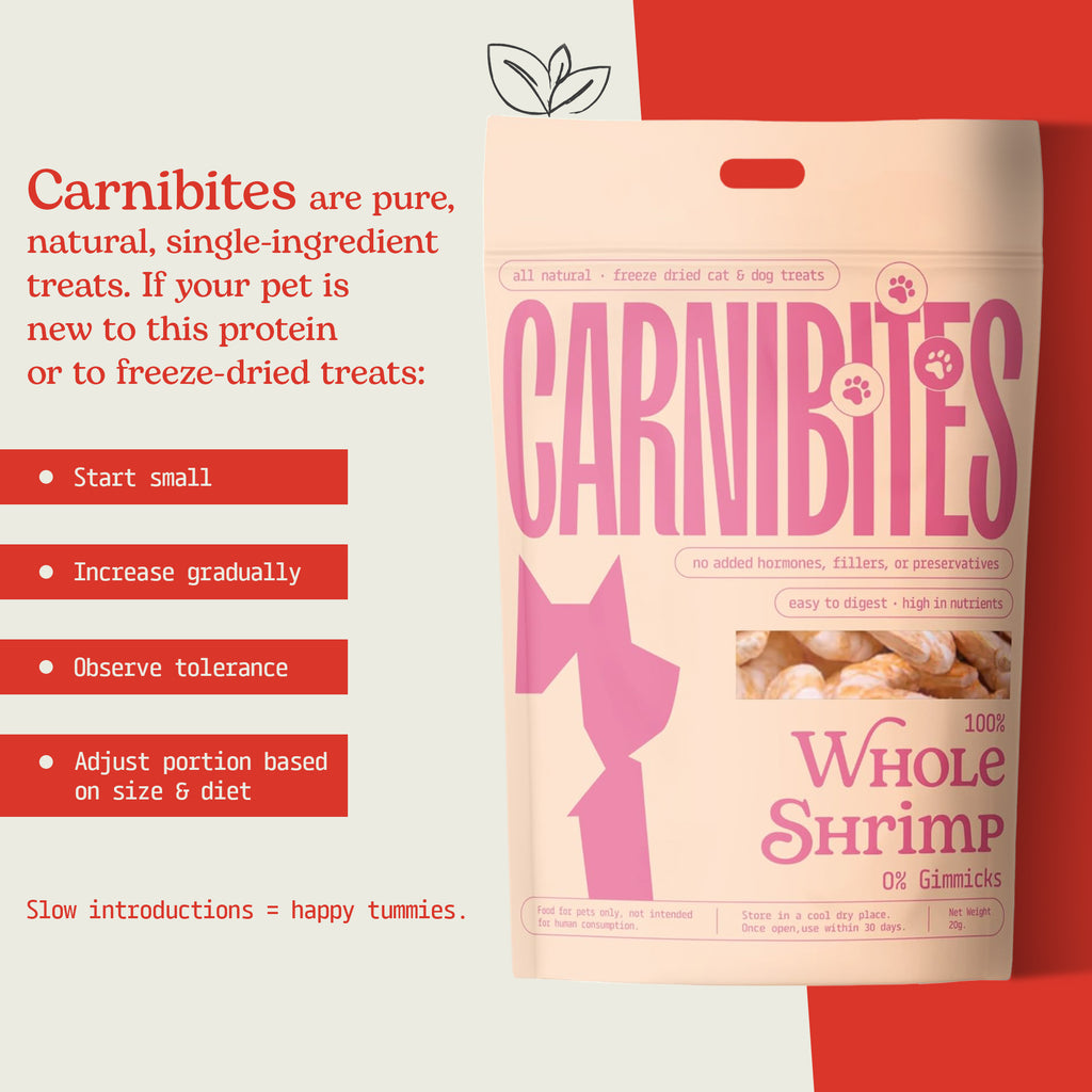 Cat Treats | Freeze-Dried Just Shrimp | 20g