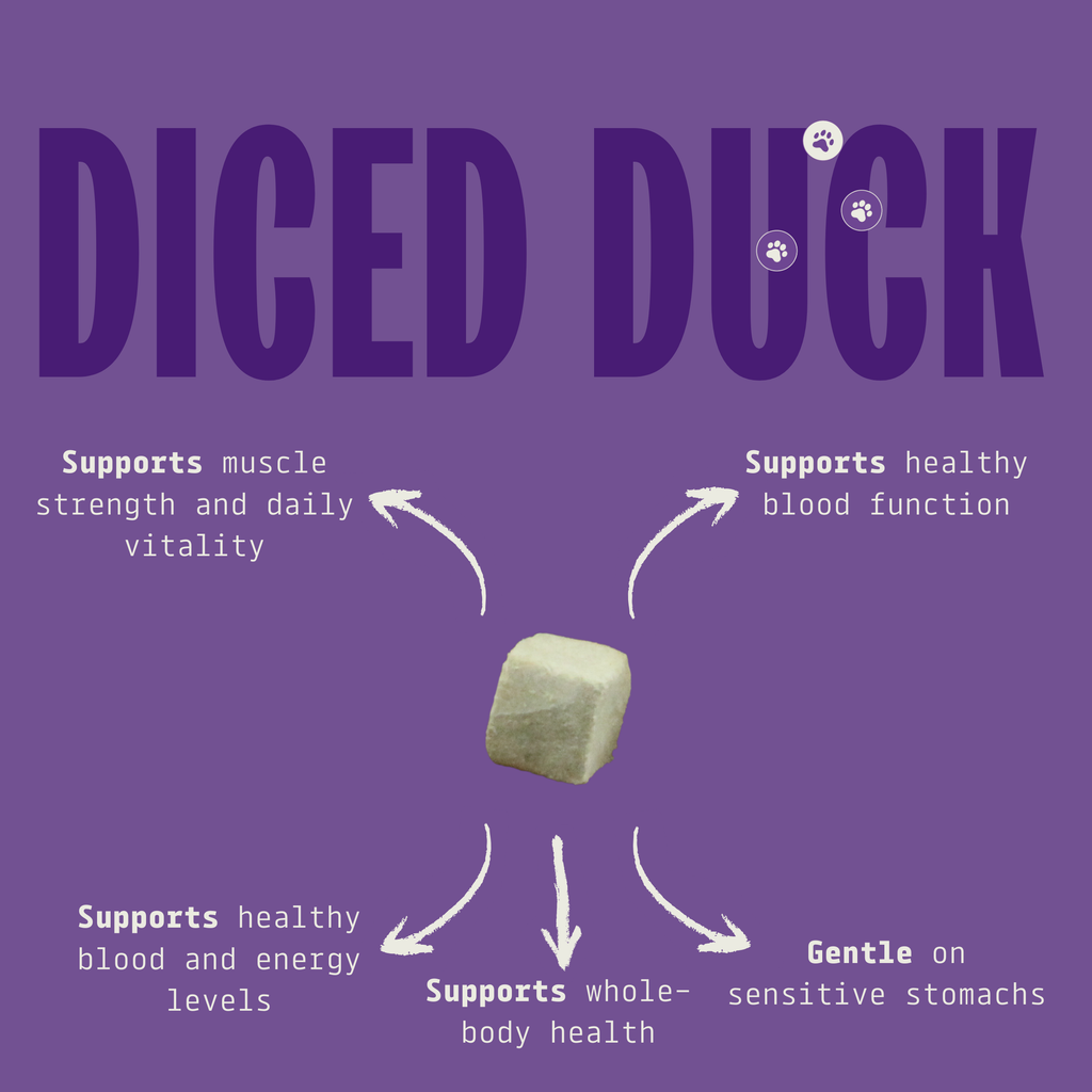 Cat & Dog Treats | Freeze-Dried Diced Duck Breast | 50g
