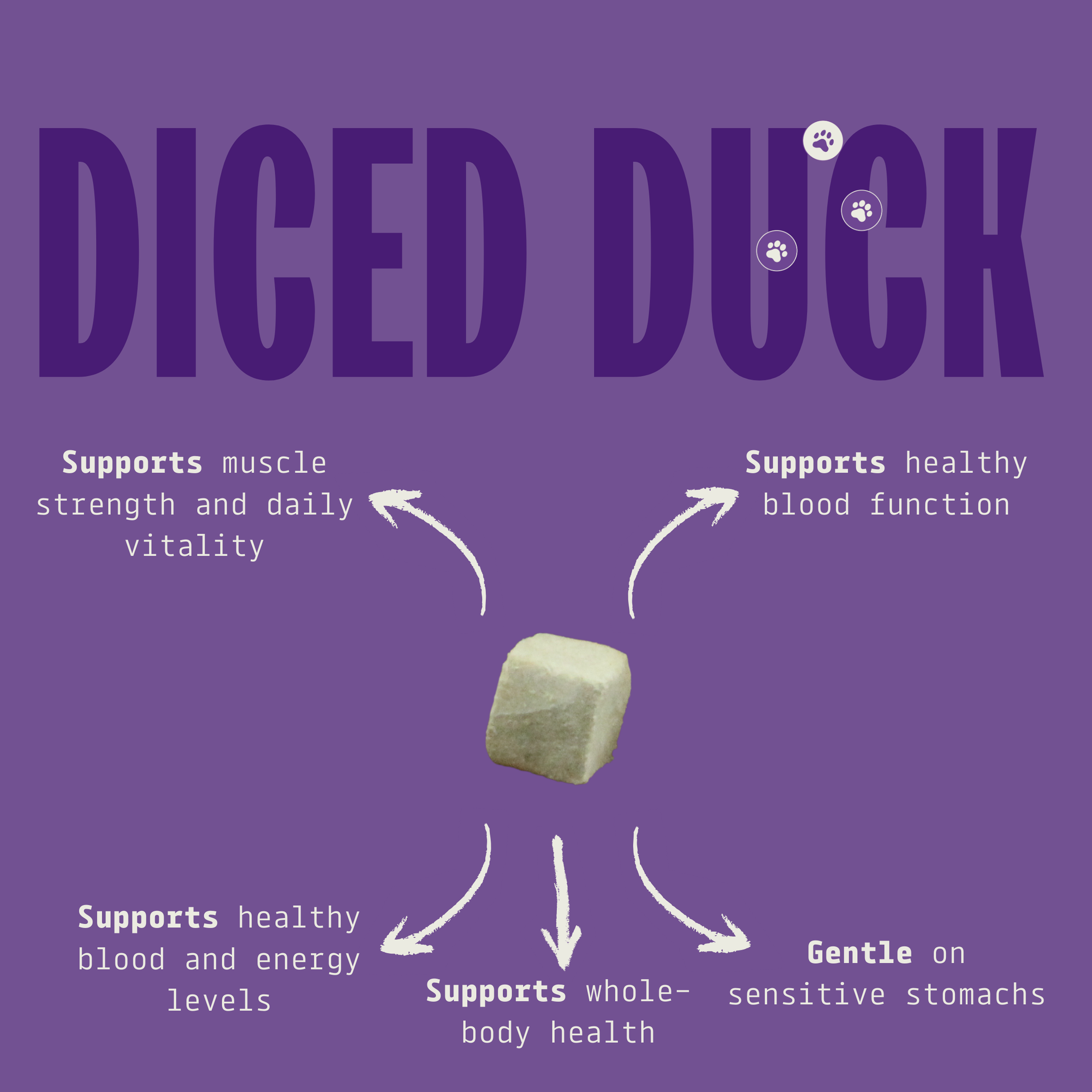 Cat & Dog Treats | Freeze-Dried Diced Duck Breast | 50g