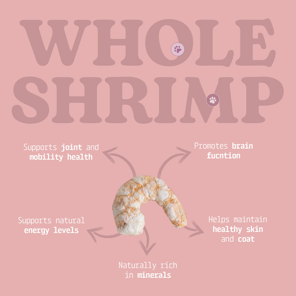 Cat Treats | Freeze-Dried Just Shrimp | 20g