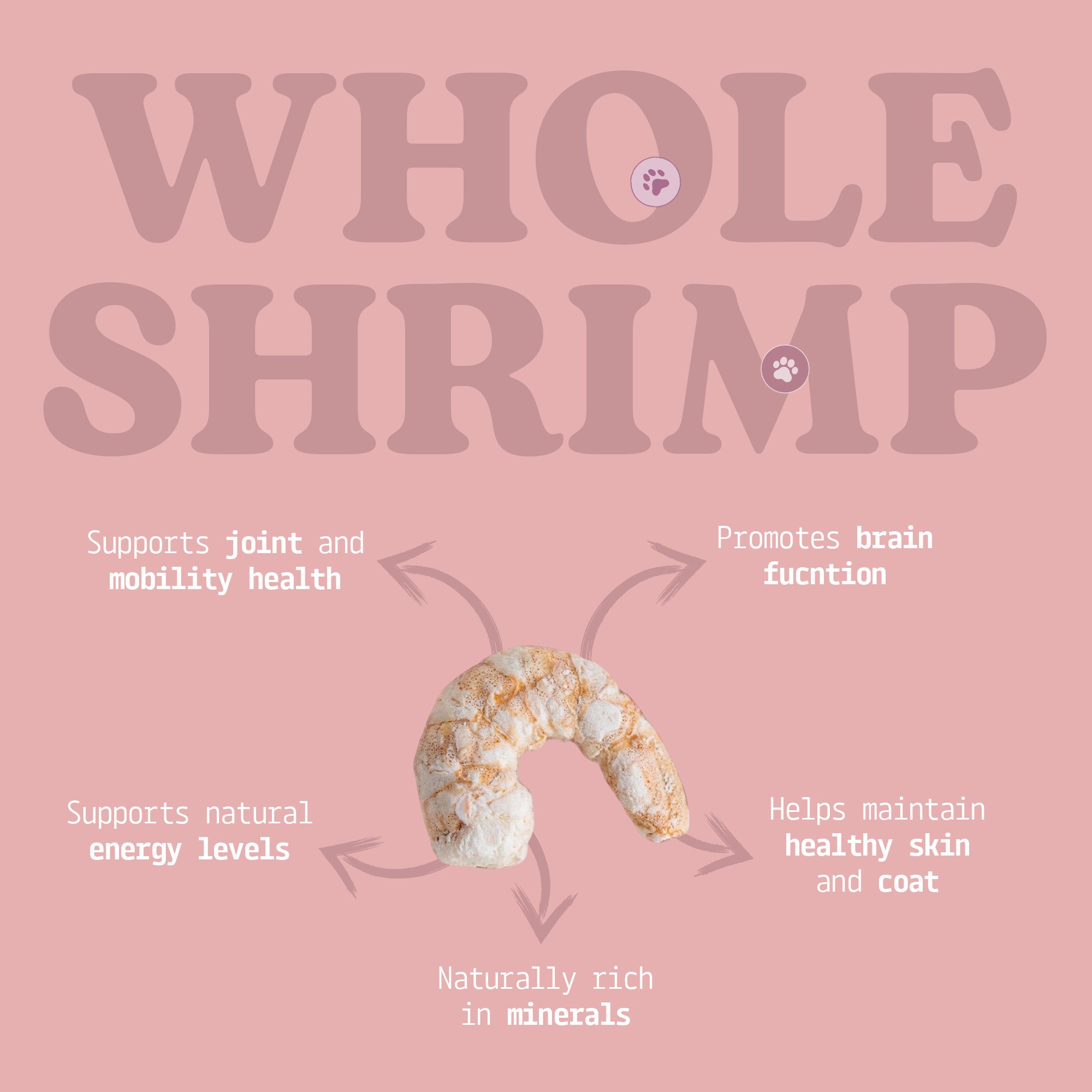 Cat Treats | Freeze-Dried Just Shrimp | 20g