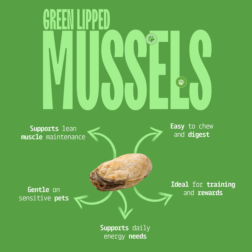 Cat & Dog Treats | Freeze-Dried Green Lipped Mussels | 50g