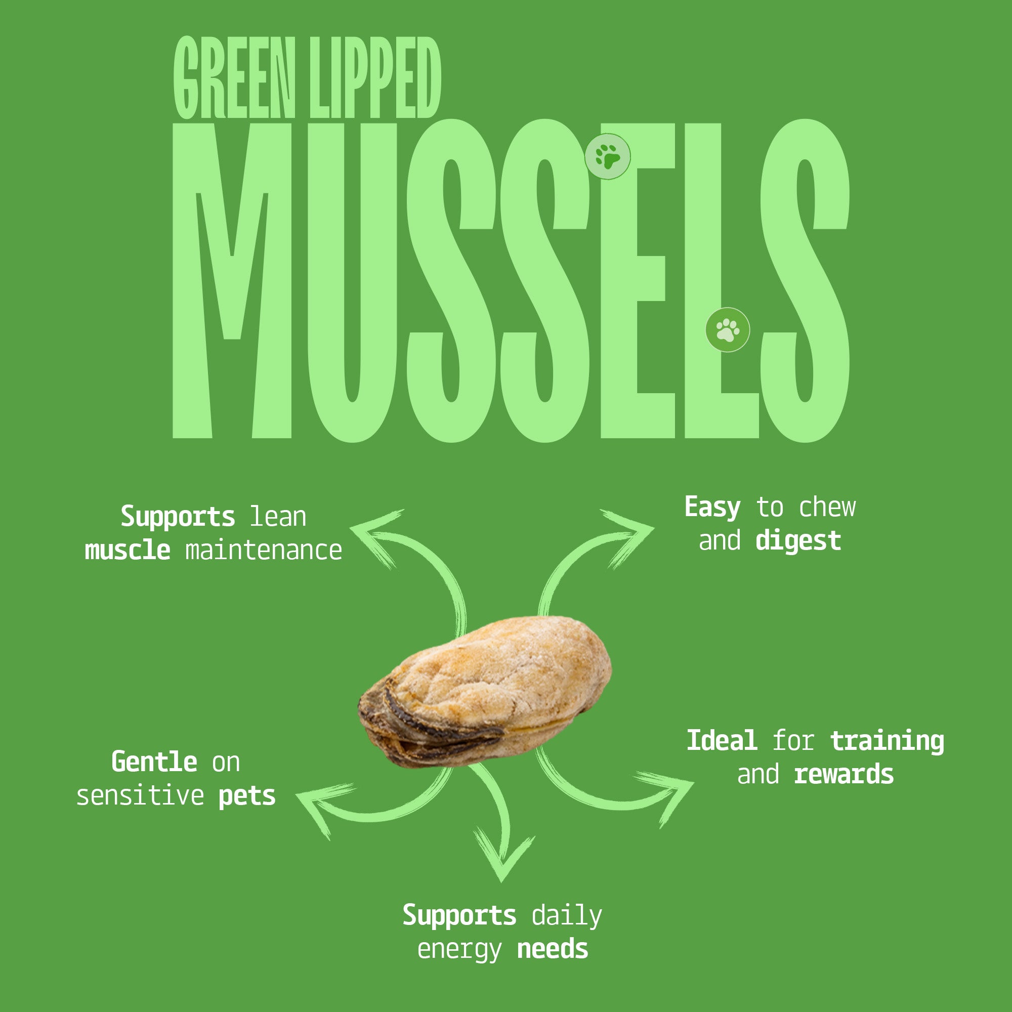 Cat & Dog Treats | Freeze-Dried Green Lipped Mussels | 50g