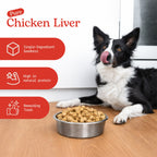 Cat & Dog Treats | Freeze-Dried Chicken Liver | 50g