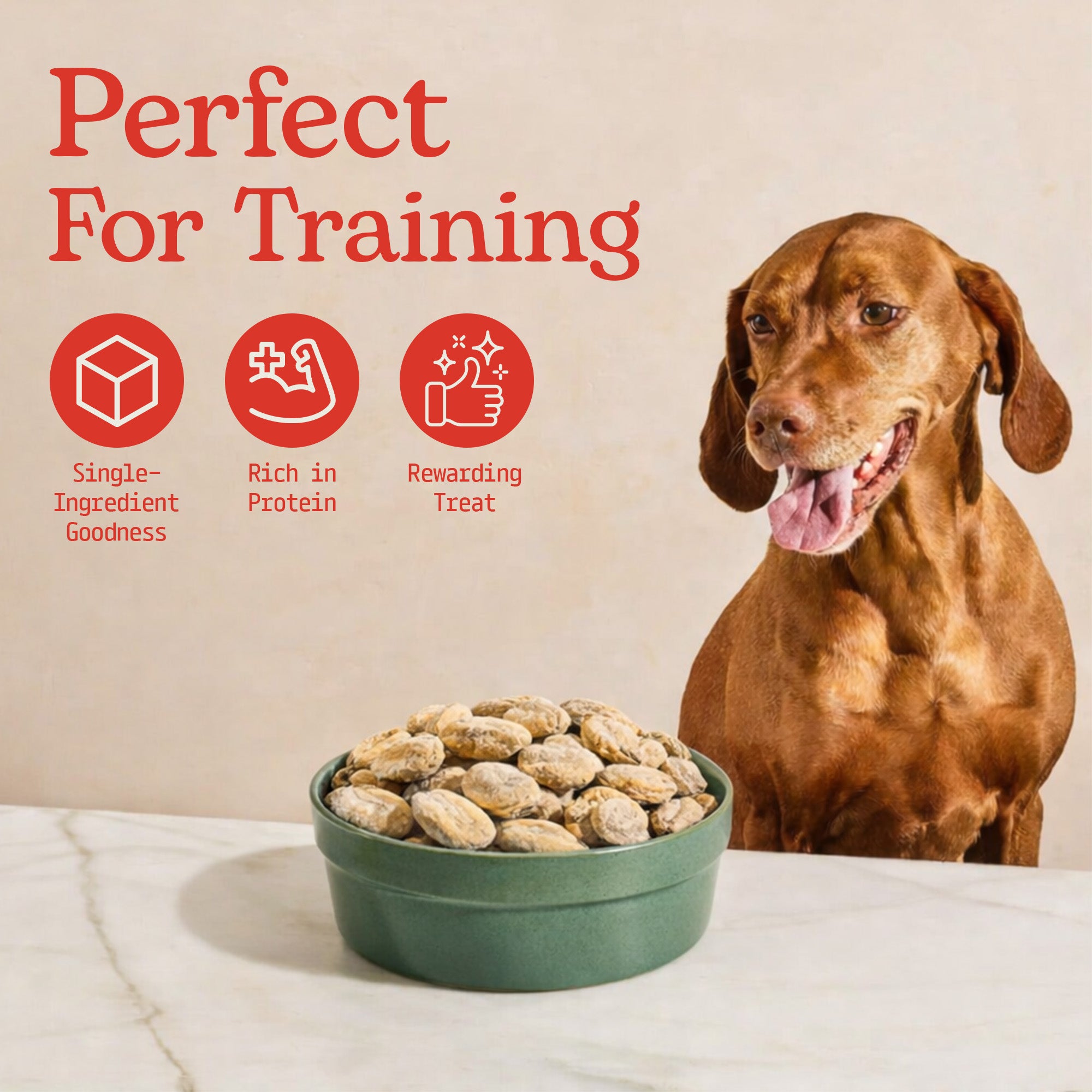 Cat & Dog Treats | Freeze-Dried Green Lipped Mussels | 50g