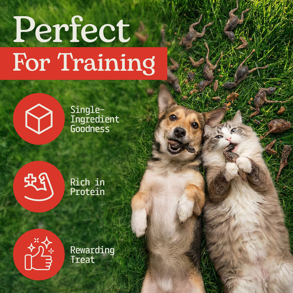 Cat & Dog Treats | Freeze-Dried Whole Quail | 100g