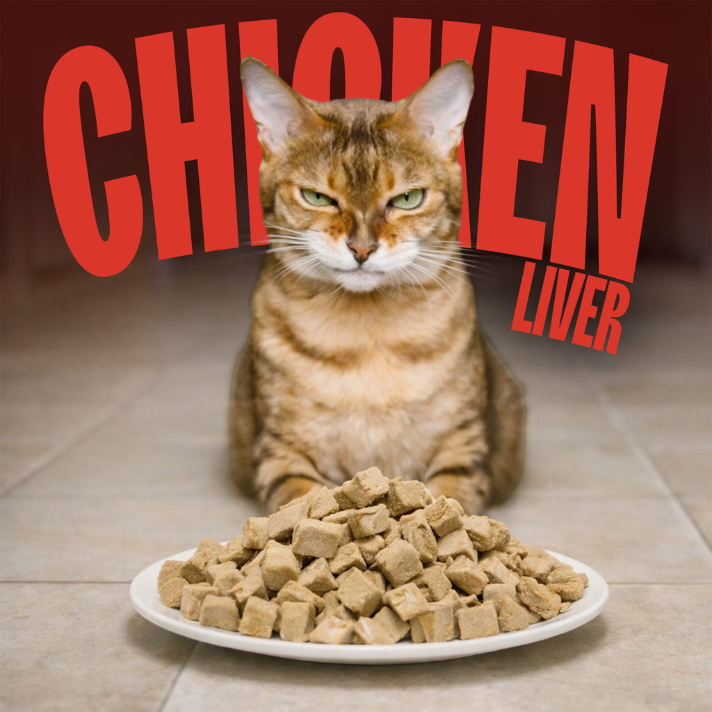 Cat & Dog Treats | Freeze-Dried Chicken Liver | 50g