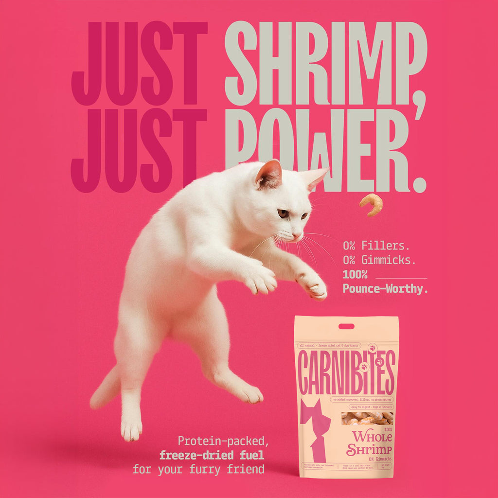 Cat Treats | Freeze-Dried Just Shrimp | 20g