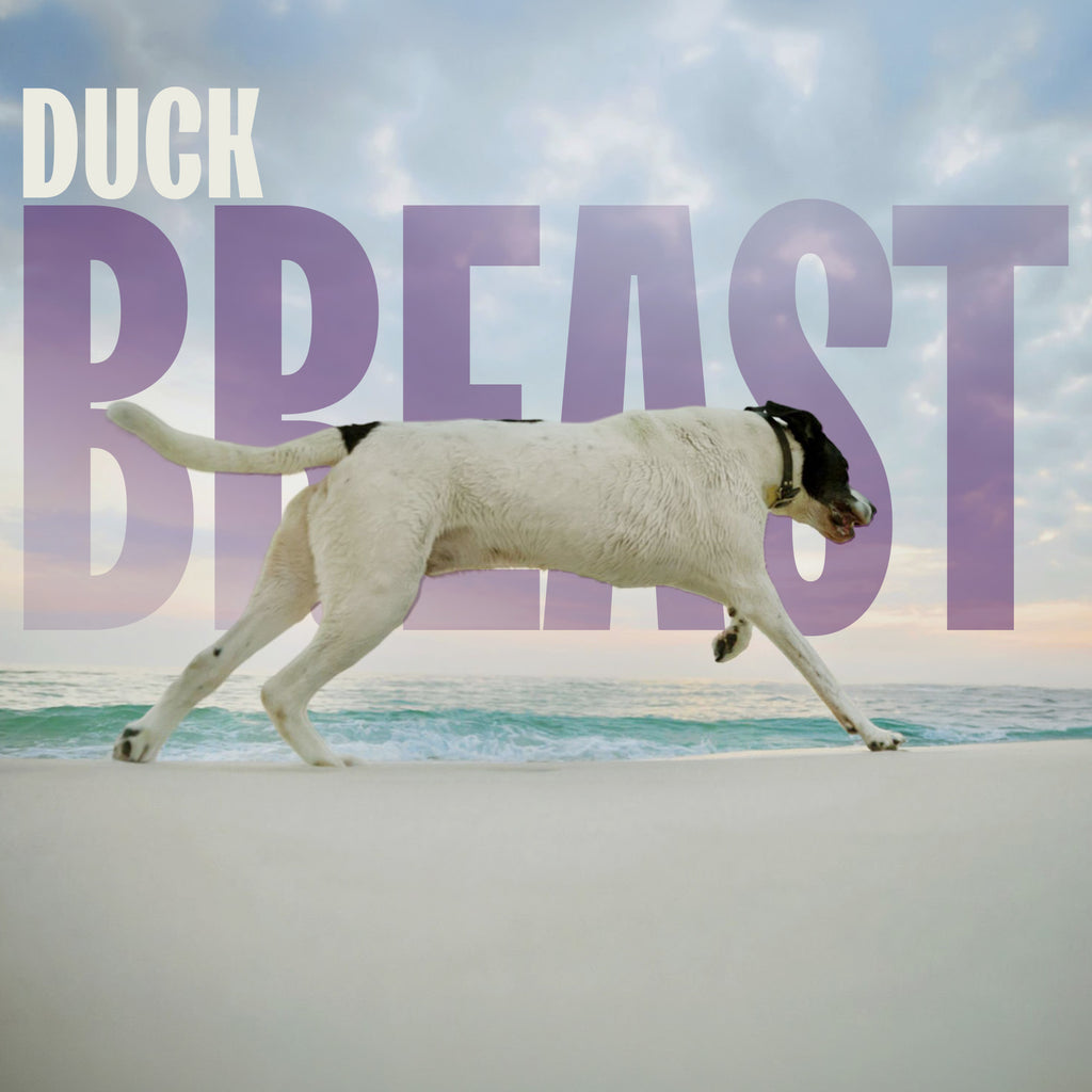 Cat & Dog Treats | Freeze-Dried Duck Breast | 100g