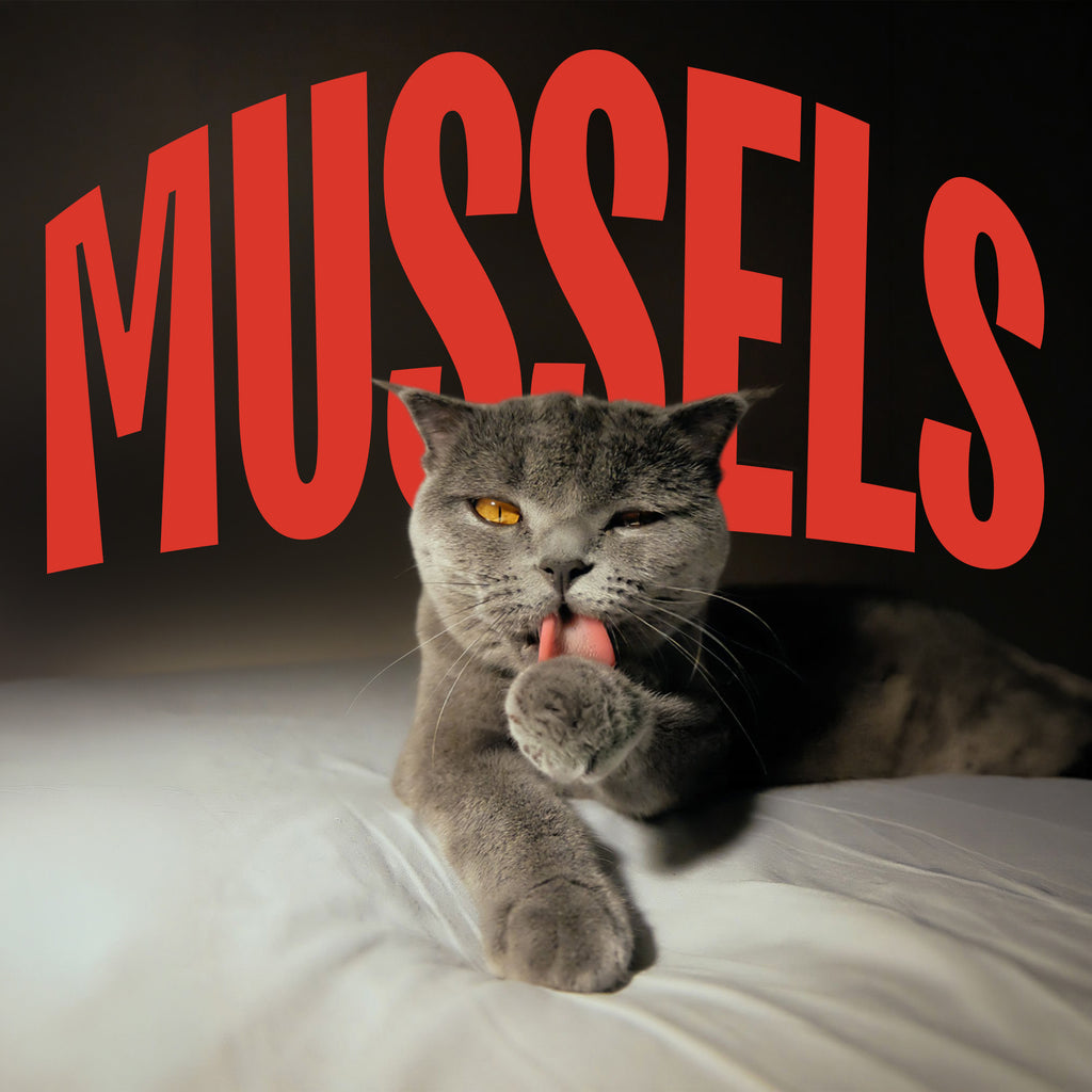 Cat & Dog Treats | Freeze-Dried Green Lipped Mussels | 50g