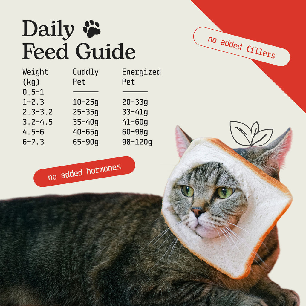 Cat & Dog Treats | Freeze-Dried Diced Tuna | 50g
