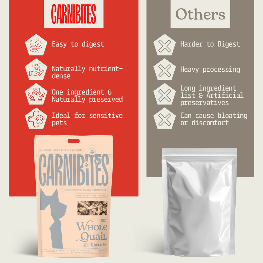 Cat & Dog Treats | Freeze-Dried Whole Quail | 100g