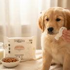 PetShine Wipes | Almond Milk 100Pcs