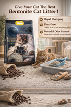 Cat Starter Bundle
