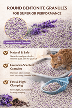 Cat Monthly Supply