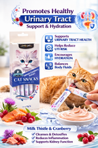 Cat Starter Bundle