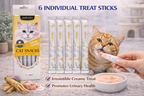 Cat Starter Bundle
