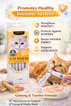 Cat Starter Bundle