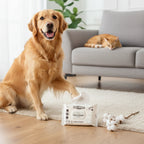 PetShine Wipes | Fiore Di Conte 40Pcs