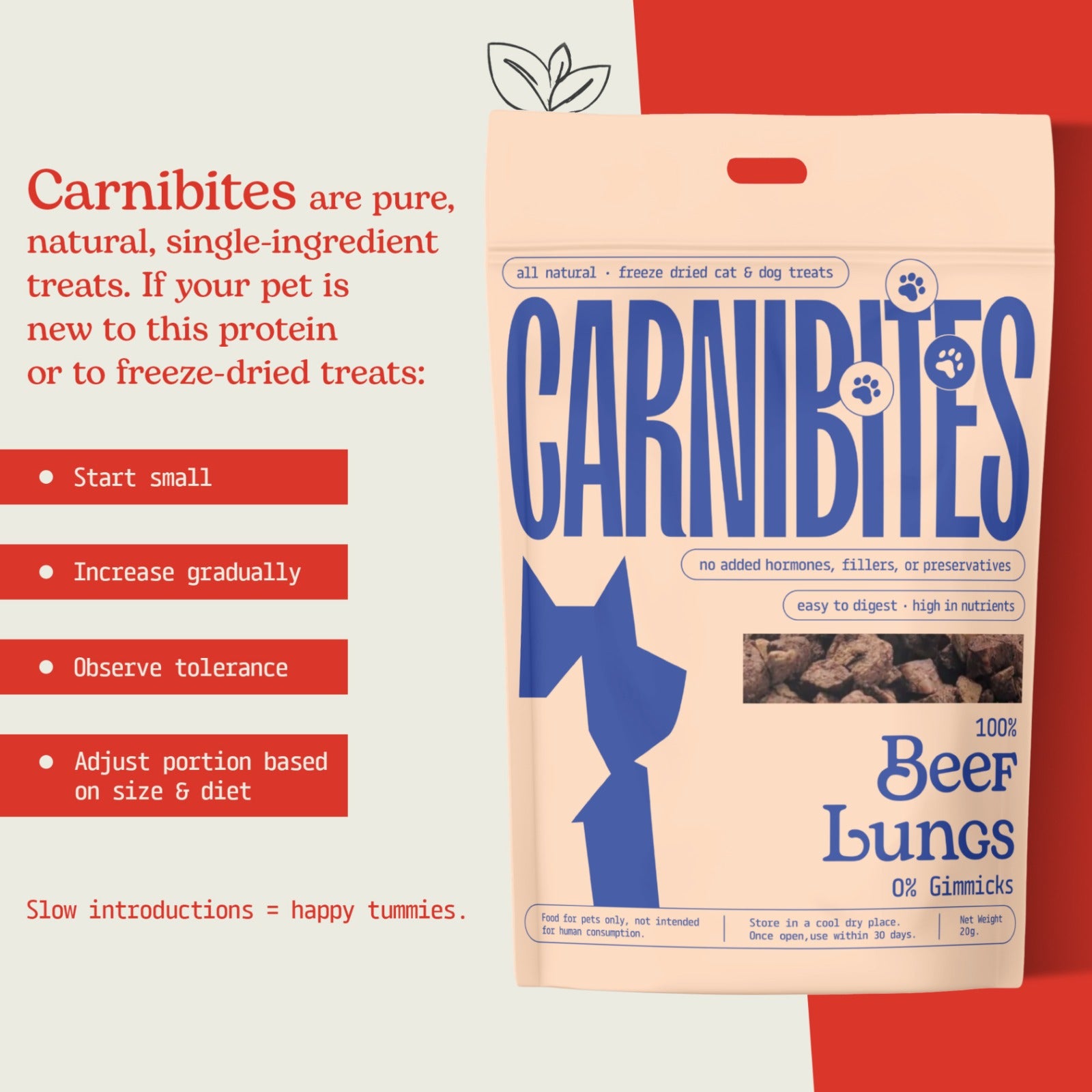 Cat & Dog Treats | Freeze-Dried Beef Lungs | 20g