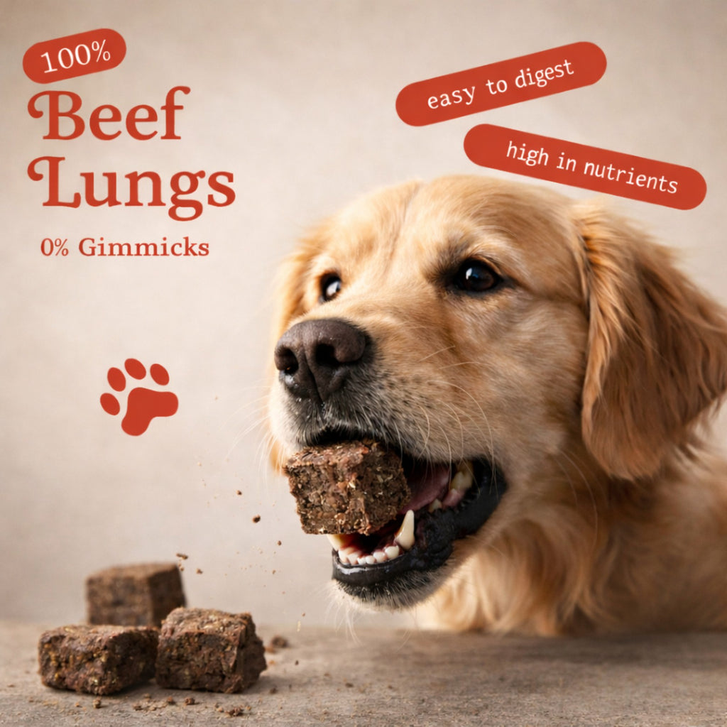 Cat & Dog Treats | Freeze-Dried Beef Lungs | 20g