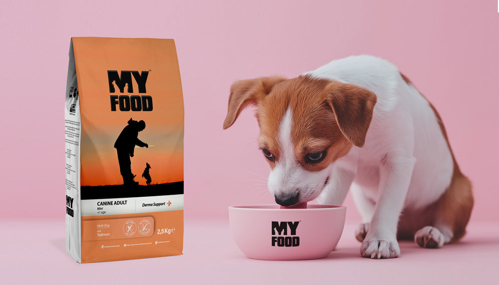 Dog eating from a MyFood bowl with a package next to it on a pink background