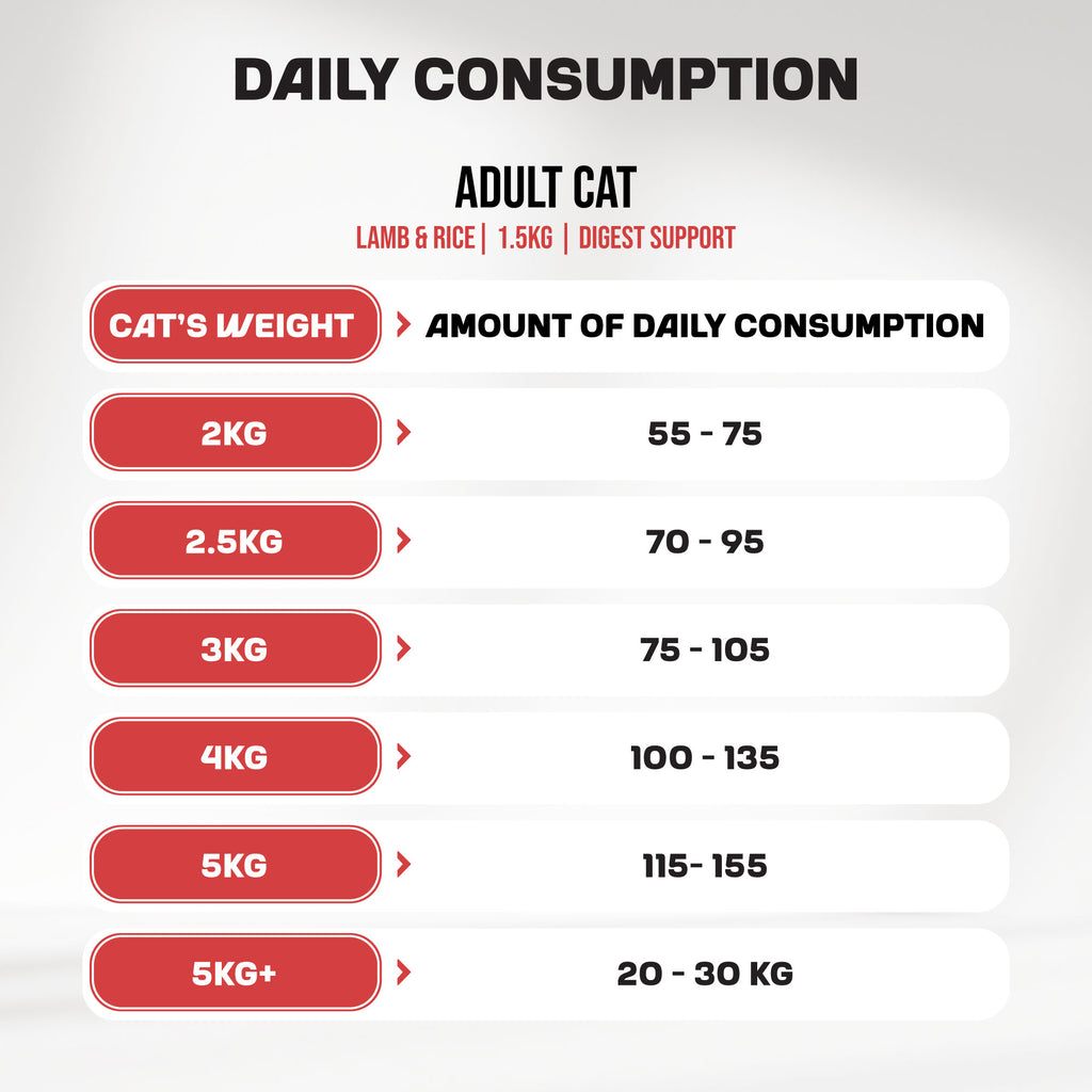 A post giving daily consumption amounts for MyFood's dry cat food with digest support and lamb & rice flavor, organized in weight groups.