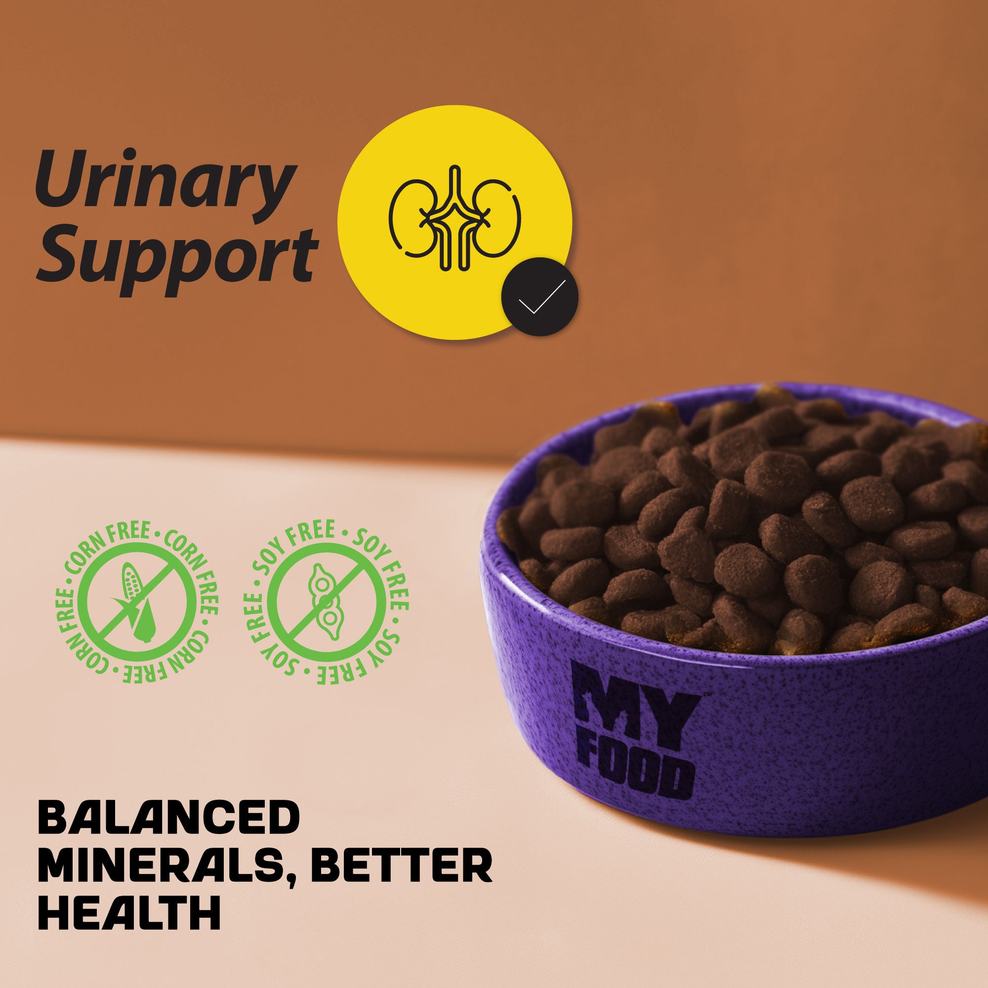 A bowl of MyFood dry cat food with urinary support graphics next to it.