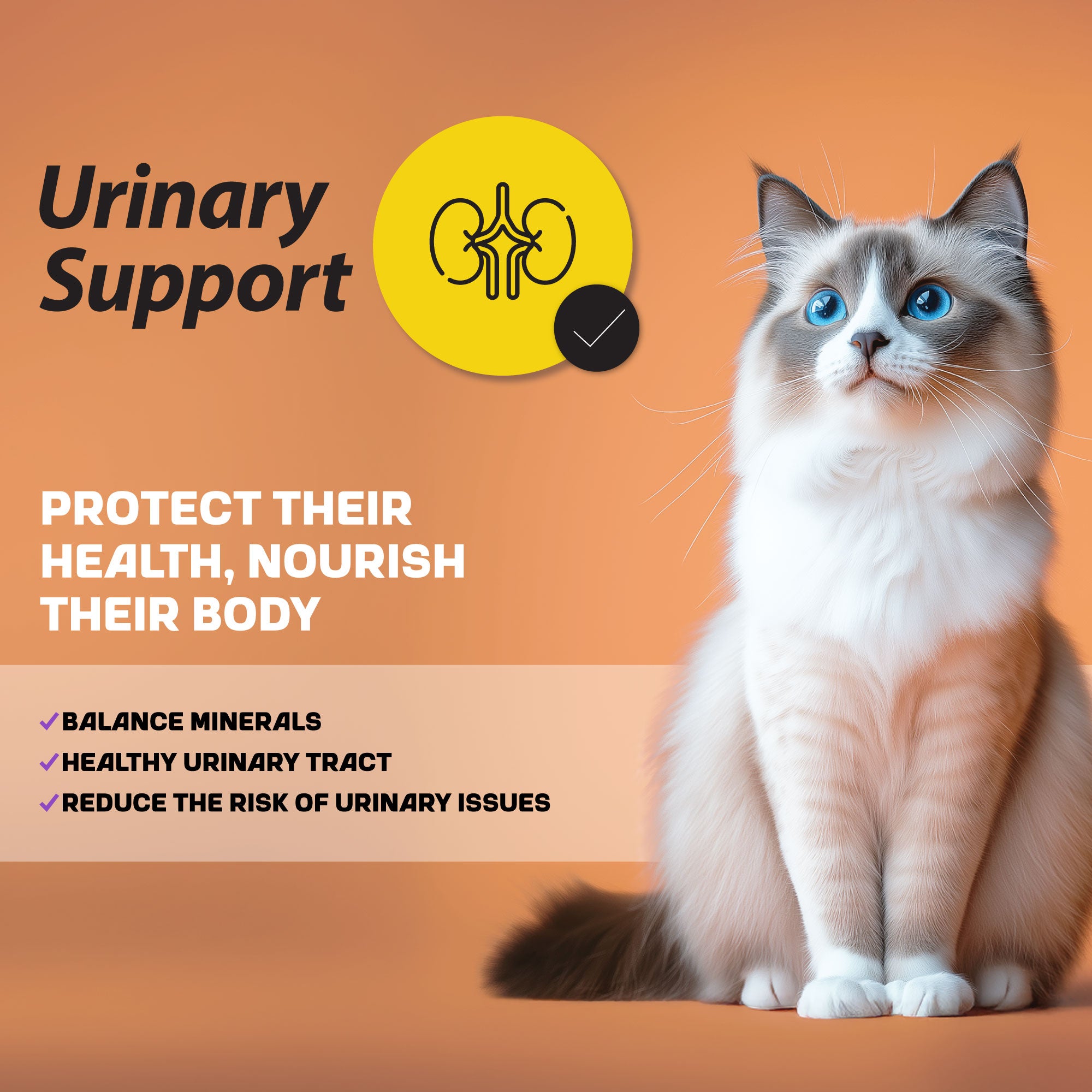 A white and brown cat with blue eyes sitting with a urinary support infographic next to it.