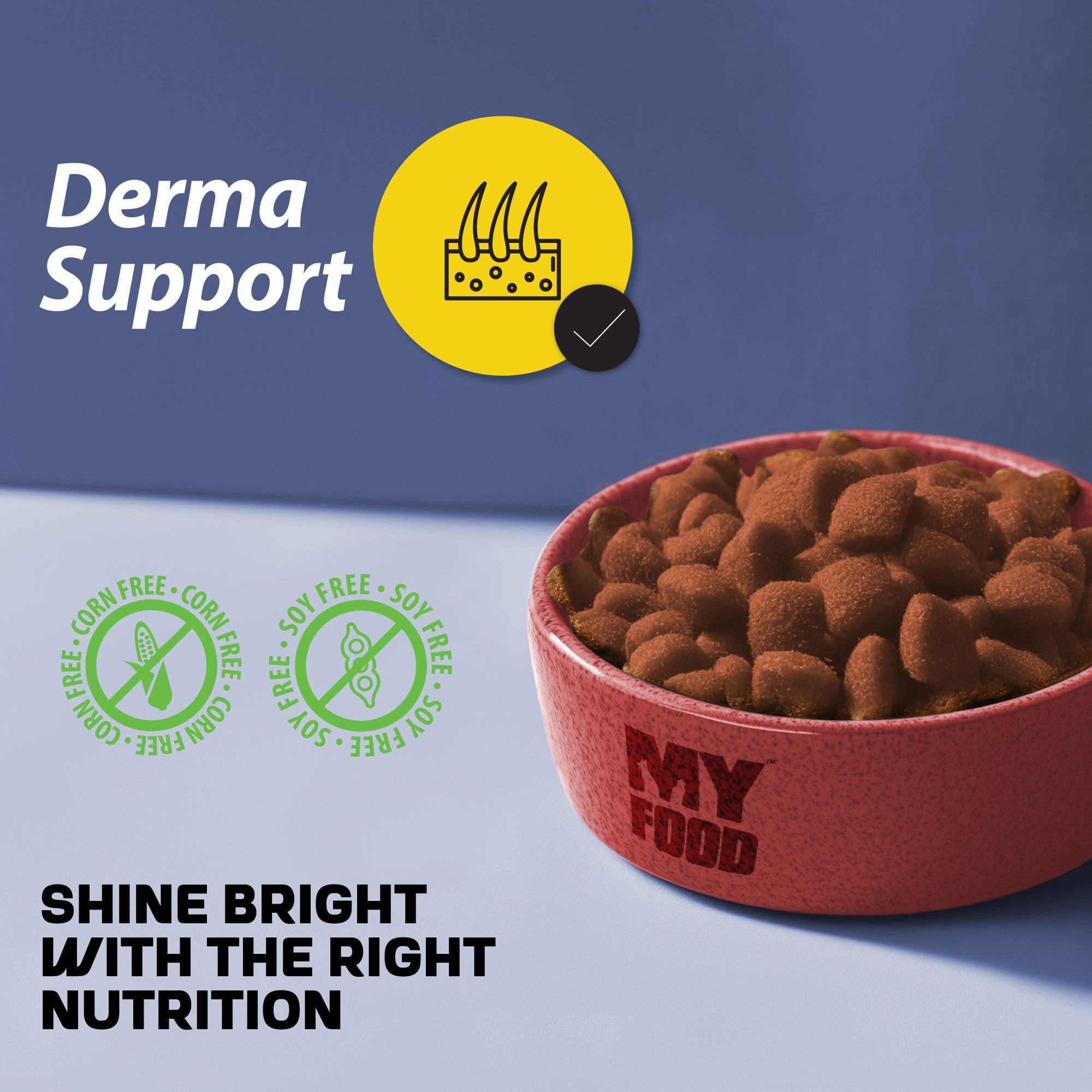 A bowl of MyFood dry dog food with promotional text and information about Derma Support food.