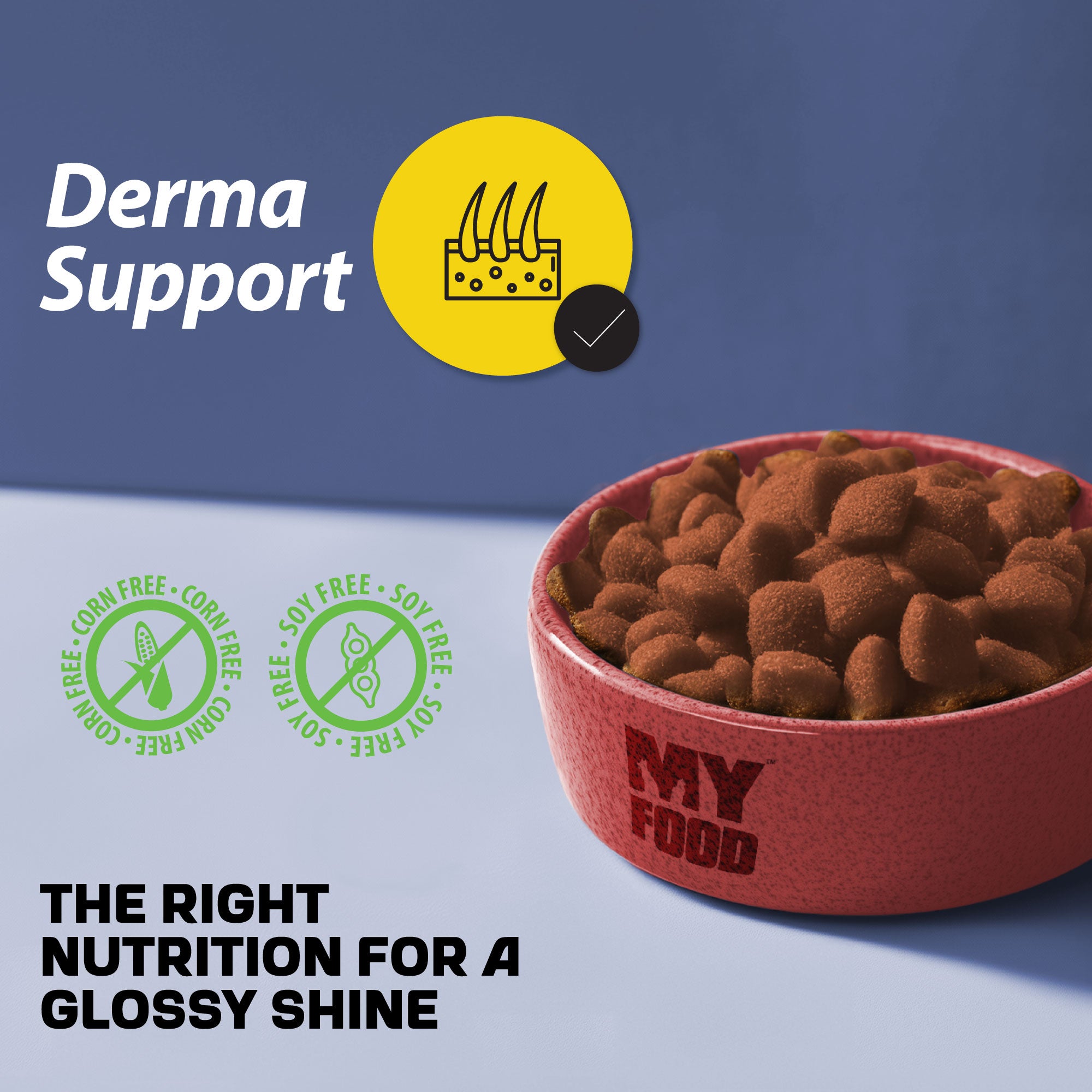 A bowl of MyFood's dry dog food next to promotional texts and graphics about its health contents.