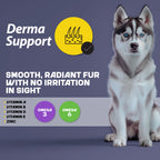A husky dog sitting next to an infographic about derma support, detailing its benefits and nutritional aspects.
