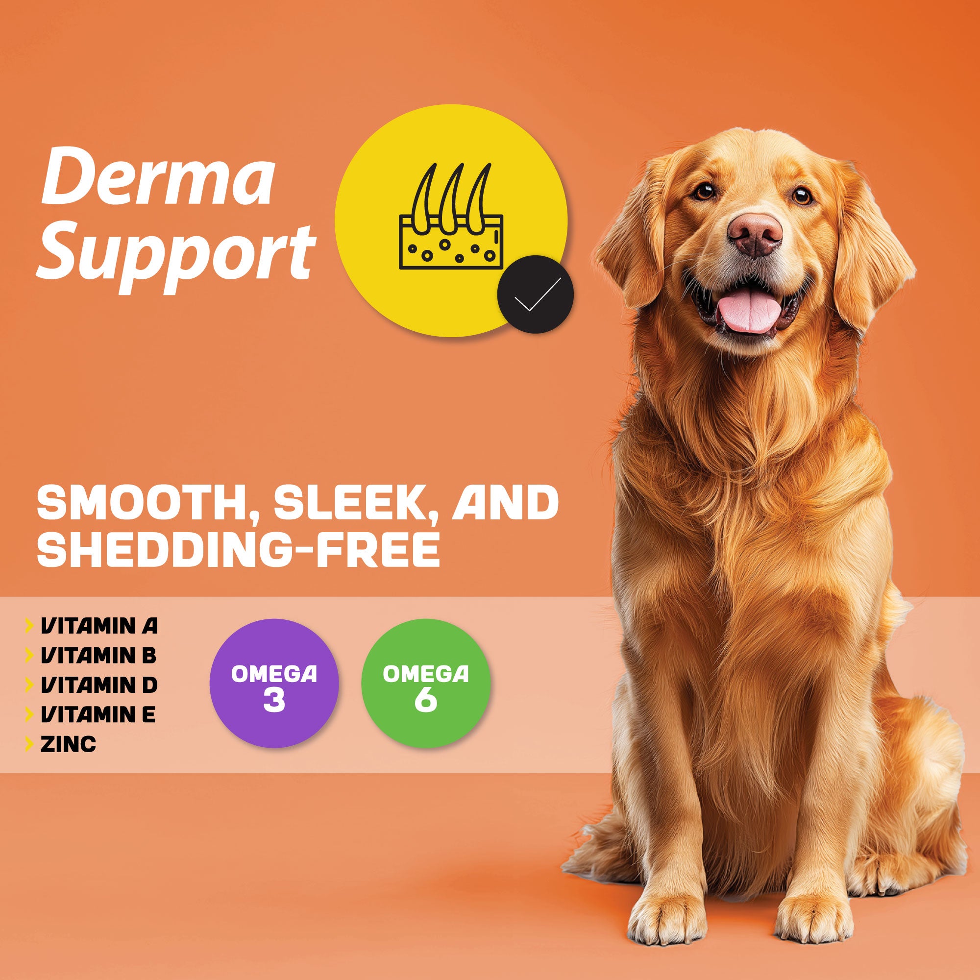 A smiley golden retriever dog sitting next to an infographic detailing the benefits and elements of derma support.